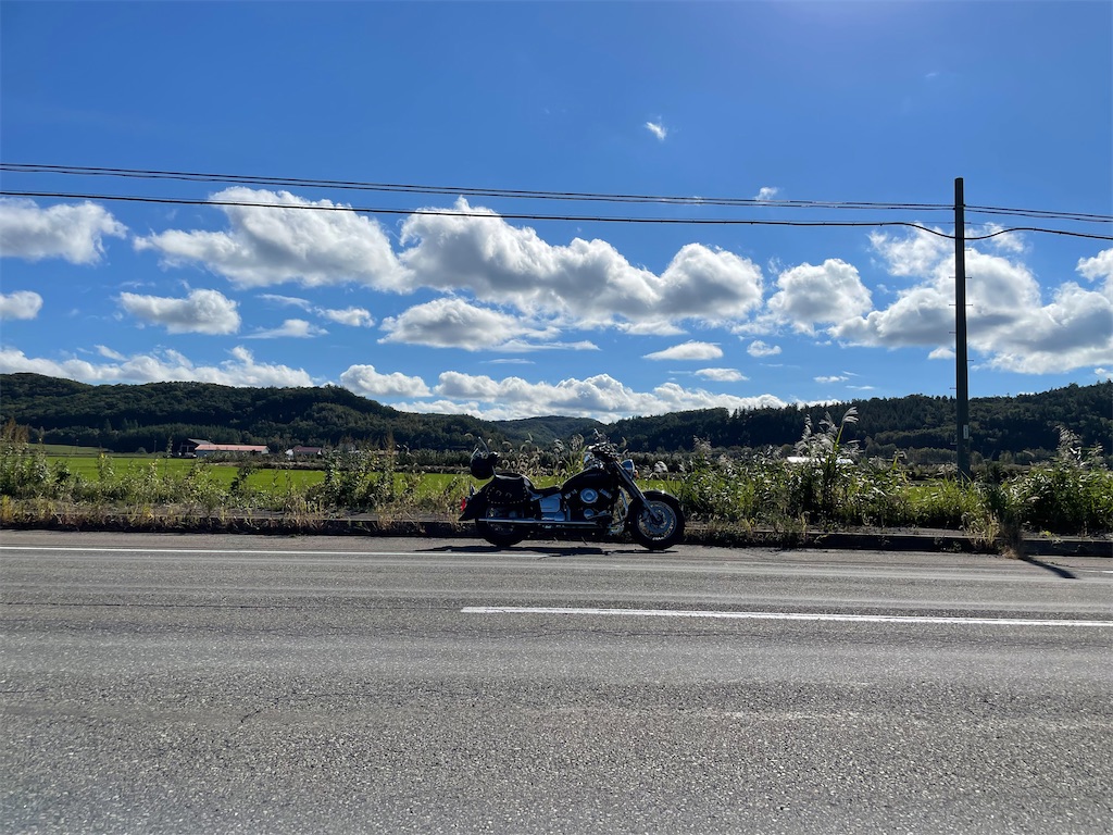 f:id:suzan3756:20241124212252j:image