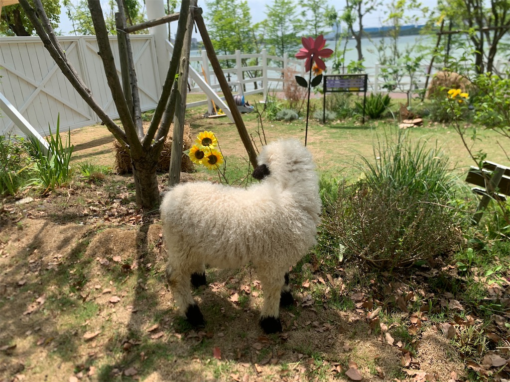 f:id:suzhoushenghuo:20250803103554j:image f:id:suzhoushenghuo:20250803103554j:image