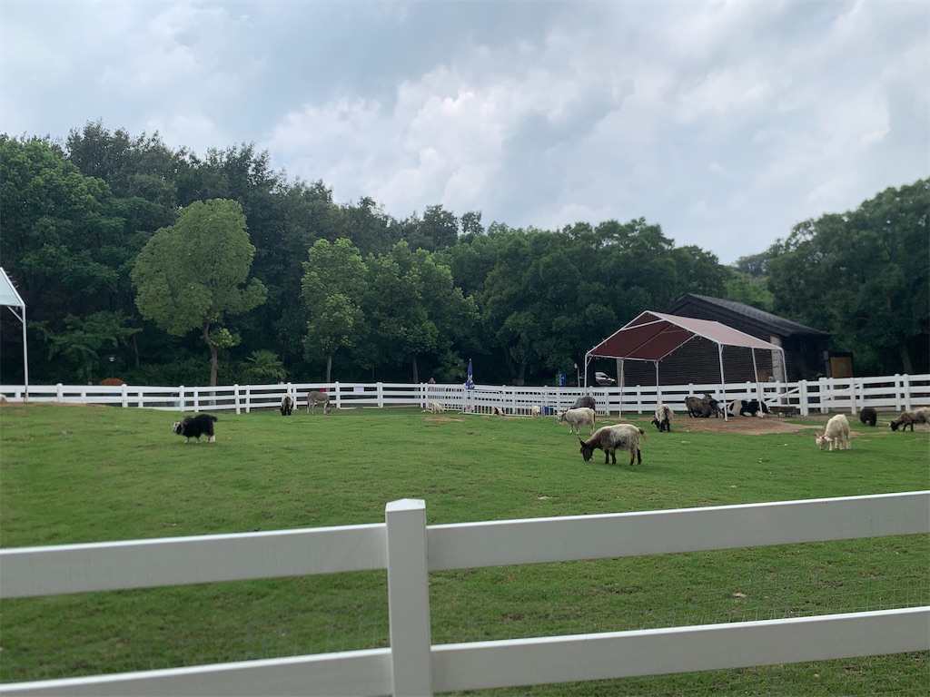 f:id:suzhoushenghuo:20250803194131j:image f:id:suzhoushenghuo:20250803194131j:image