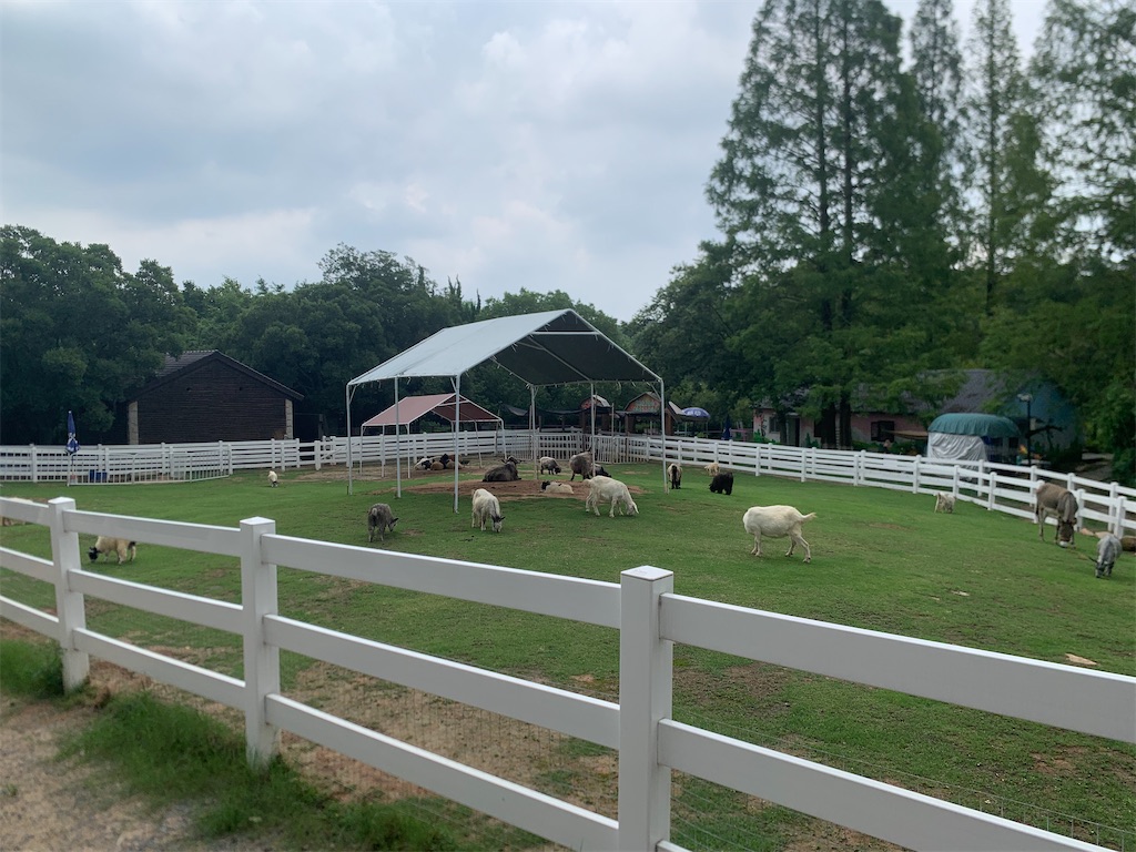 f:id:suzhoushenghuo:20250803194907j:image f:id:suzhoushenghuo:20250803194907j:image