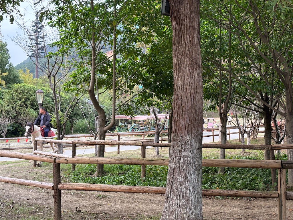 f:id:suzhoushenghuo:20251028154017j:image f:id:suzhoushenghuo:20251028154017j:image