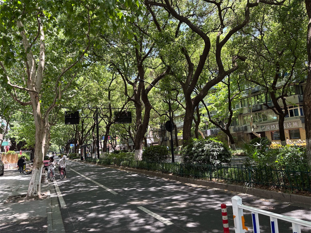 f:id:suzhoushenghuo:20260725125412j:image f:id:suzhoushenghuo:20260725125412j:image