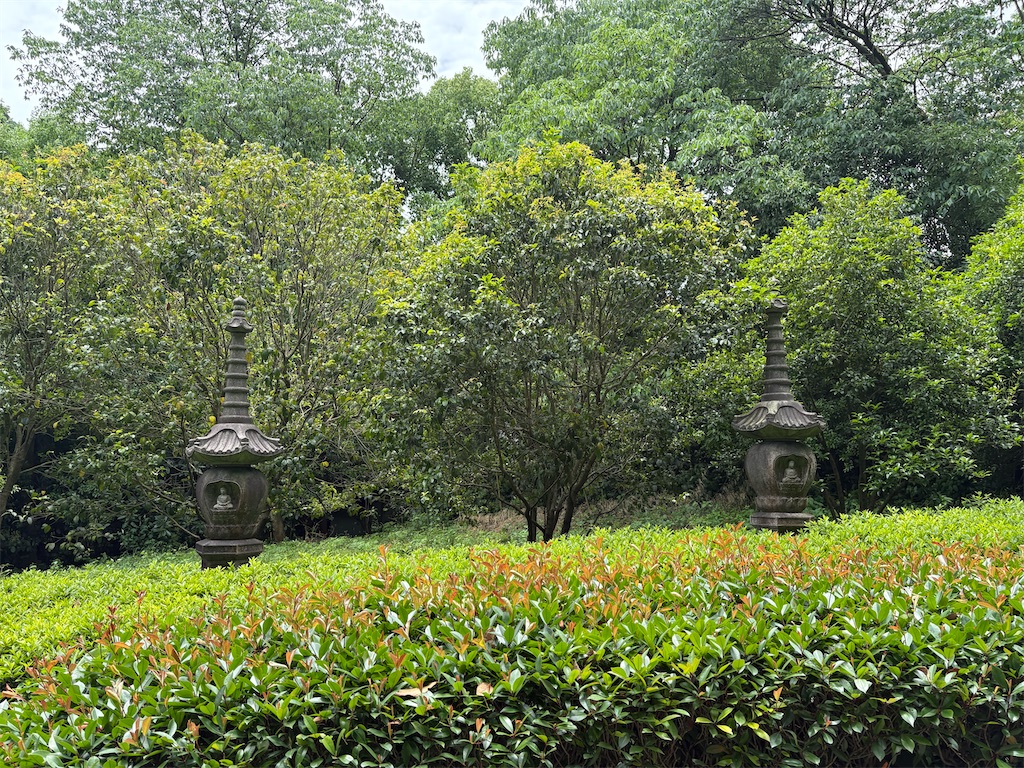 f:id:suzhoushenghuo:20260826135124j:image f:id:suzhoushenghuo:20260826135124j:image