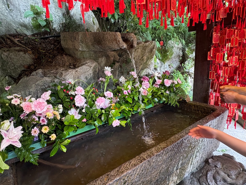 f:id:suzhoushenghuo:20260826135503j:image f:id:suzhoushenghuo:20260826135503j:image