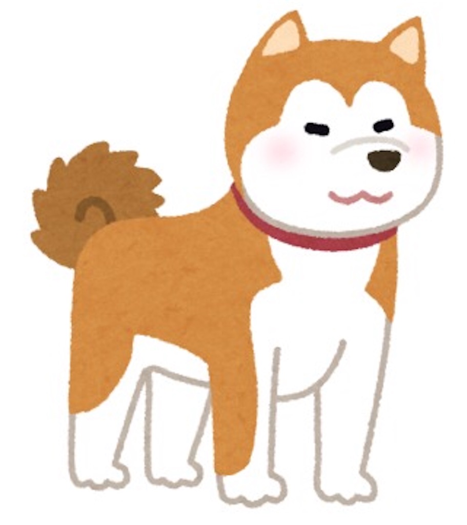 f:id:suzu84318:20190526224429j:image f:id:suzu84318:20190526224429j:image