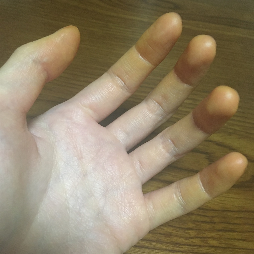 f:id:suzu_queen:20211122025232j:image f:id:suzu_queen:20211122025232j:image