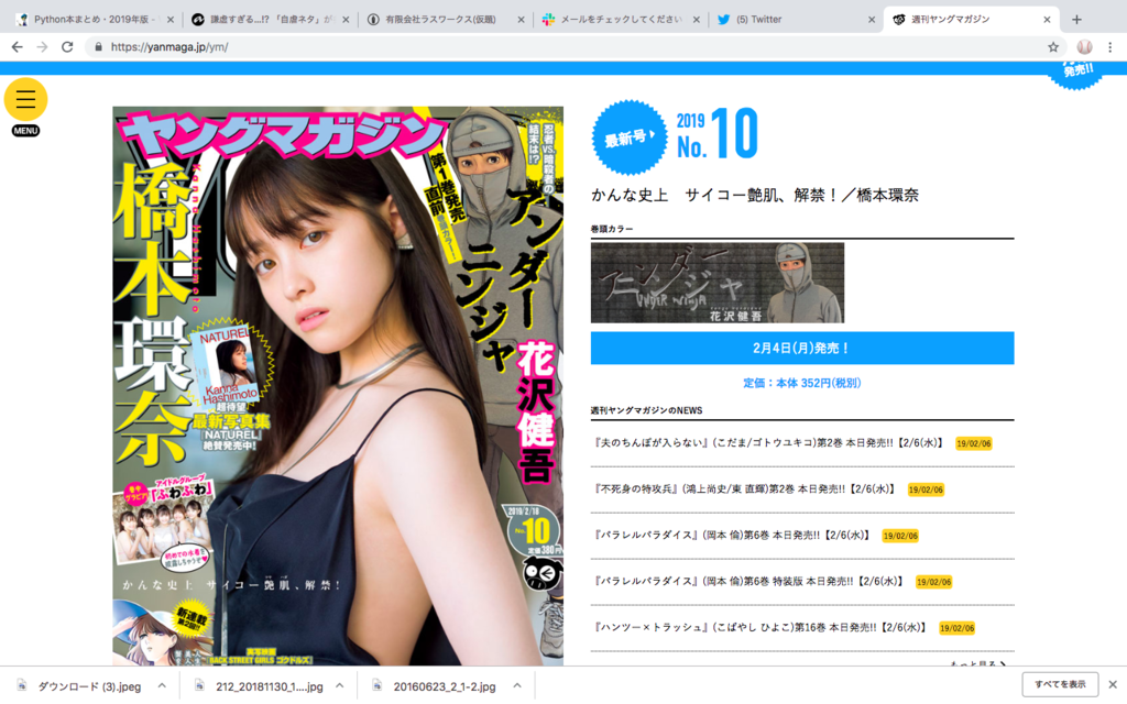 f:id:suzu_rasu:20190206230102p:plain f:id:suzu_rasu:20190206230102p:plain