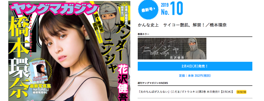 f:id:suzu_rasu:20190206230110p:plain f:id:suzu_rasu:20190206230110p:plain