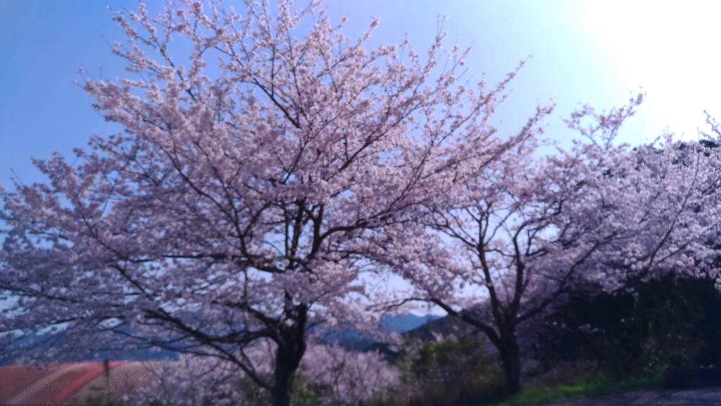 f:id:suzuakiiro:20180428162341j:plain f:id:suzuakiiro:20180428162341j:plain