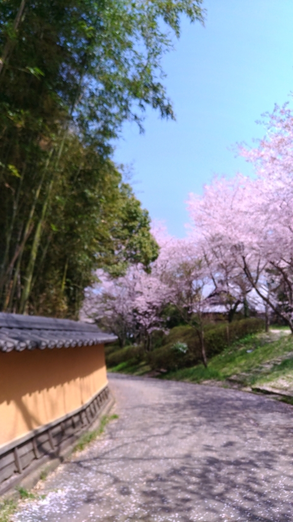 f:id:suzuakiiro:20180428165632j:plain f:id:suzuakiiro:20180428165632j:plain