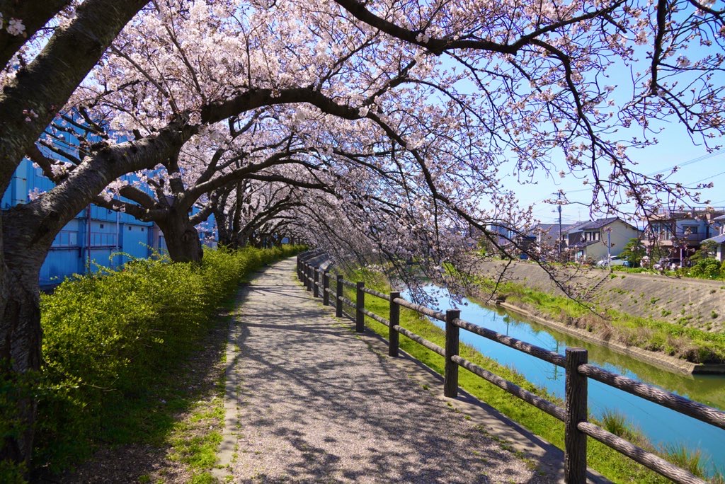 f:id:suzuflp:20200401000405j:plain f:id:suzuflp:20200401000405j:plain