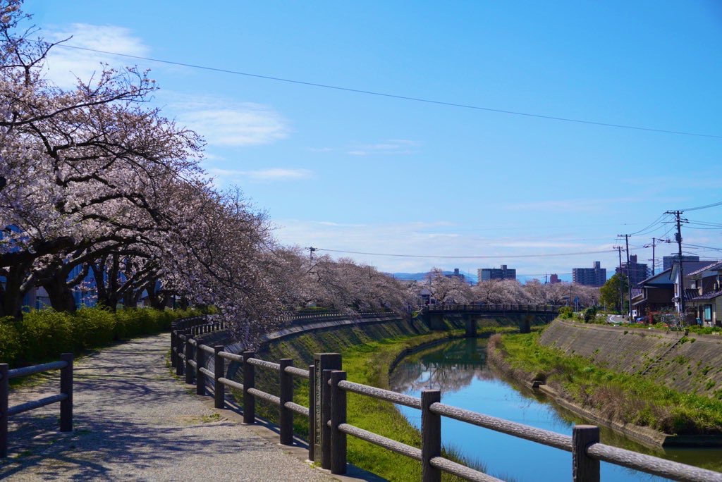 f:id:suzuflp:20200401000450j:plain f:id:suzuflp:20200401000450j:plain