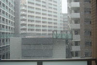f:id:suzugon:20080123121441j:image f:id:suzugon:20080123121441j:image