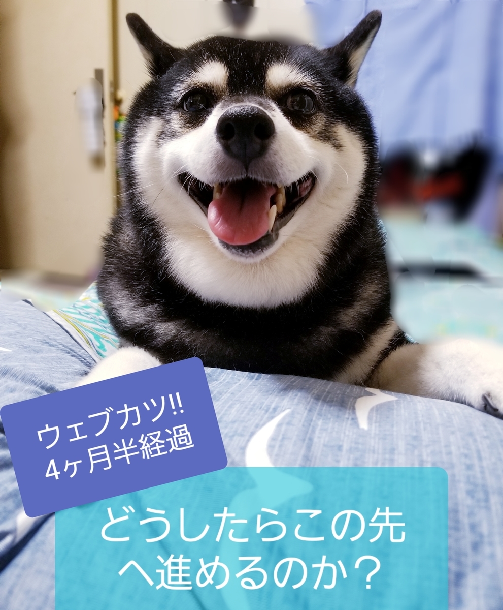 f:id:suzuharu1022:20190814155305j:plain
