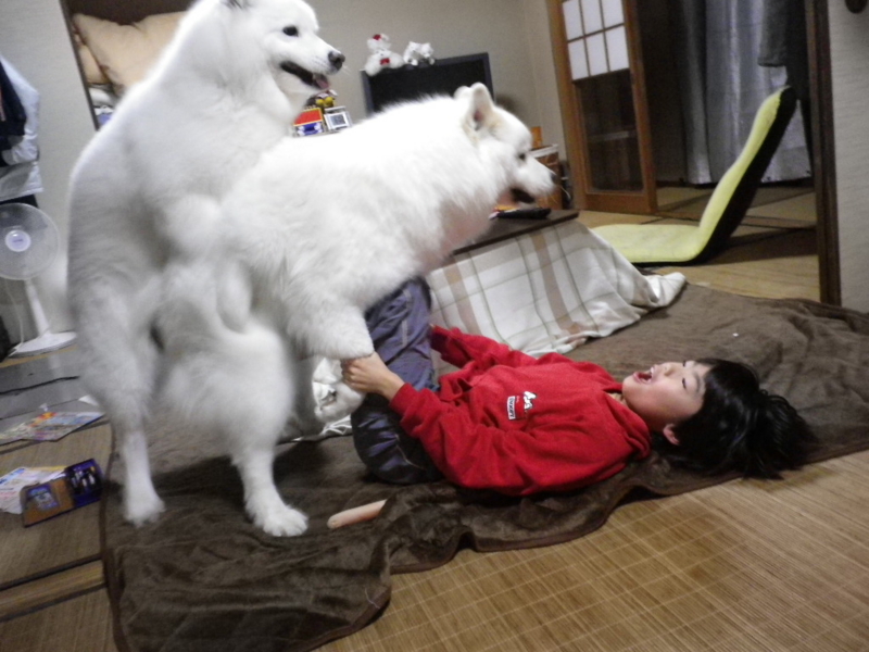 こめ ごめ Suzuimo S Blog