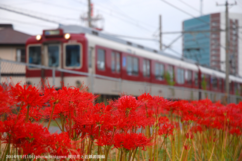 f:id:suzuka-mieken:20140920084215j:plain