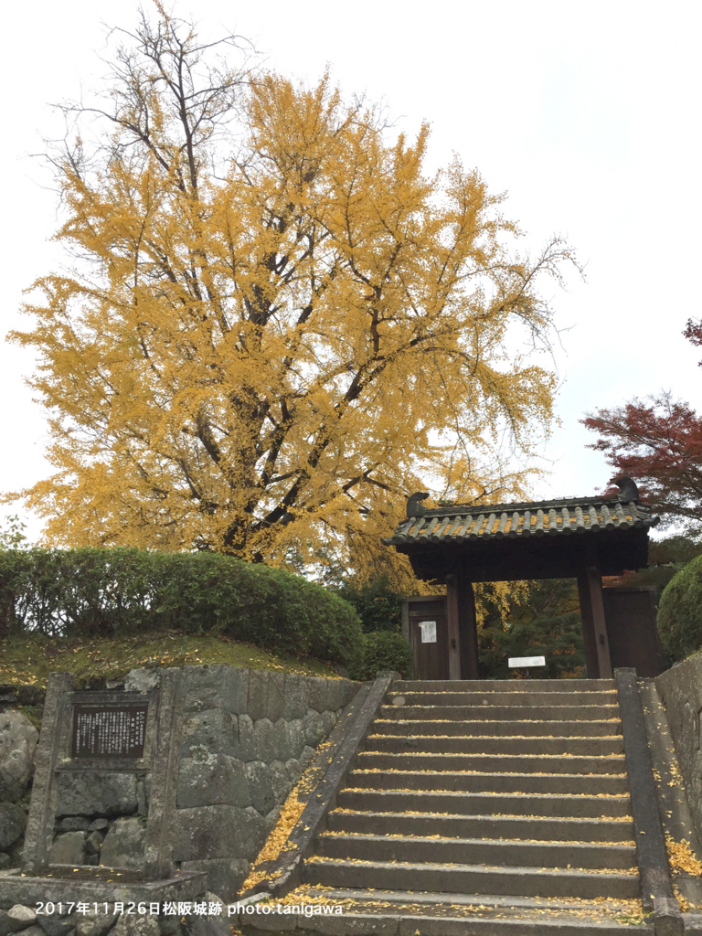 f:id:suzuka-mieken:20171128100148j:plain