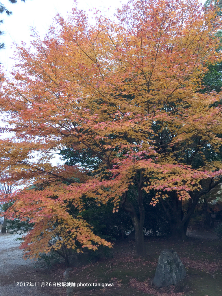 f:id:suzuka-mieken:20171128100204j:plain