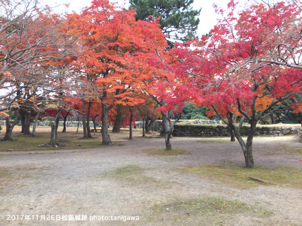 f:id:suzuka-mieken:20171128100214j:plain