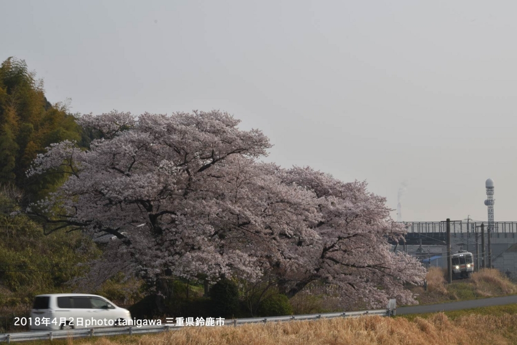 f:id:suzuka-mieken:20180402084639j:plain