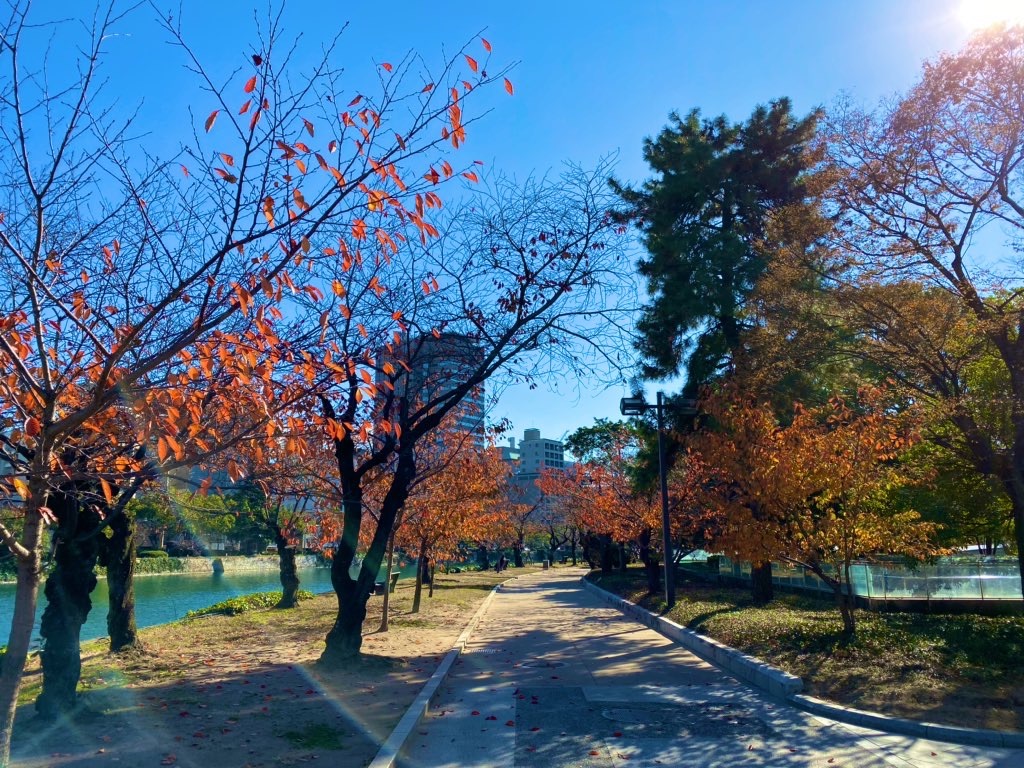 f:id:suzukachan:20191227000554j:image