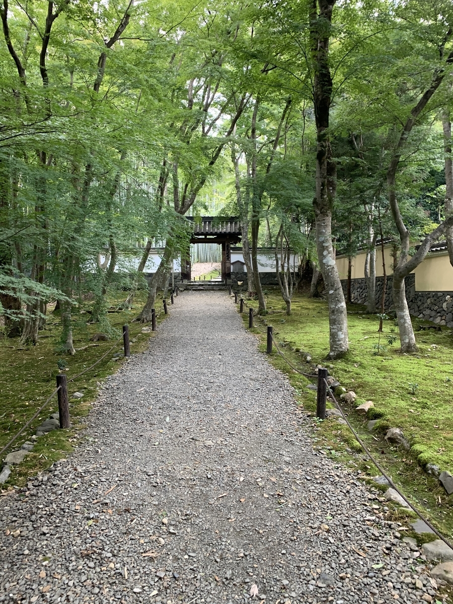 f:id:suzukasjp:20191019221049j:plain f:id:suzukasjp:20191019221049j:plain