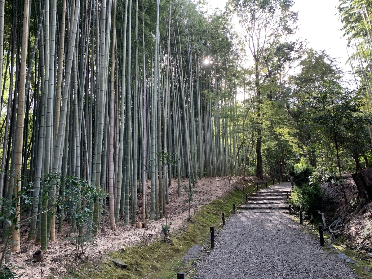 f:id:suzukasjp:20191020132419j:plain f:id:suzukasjp:20191020132419j:plain