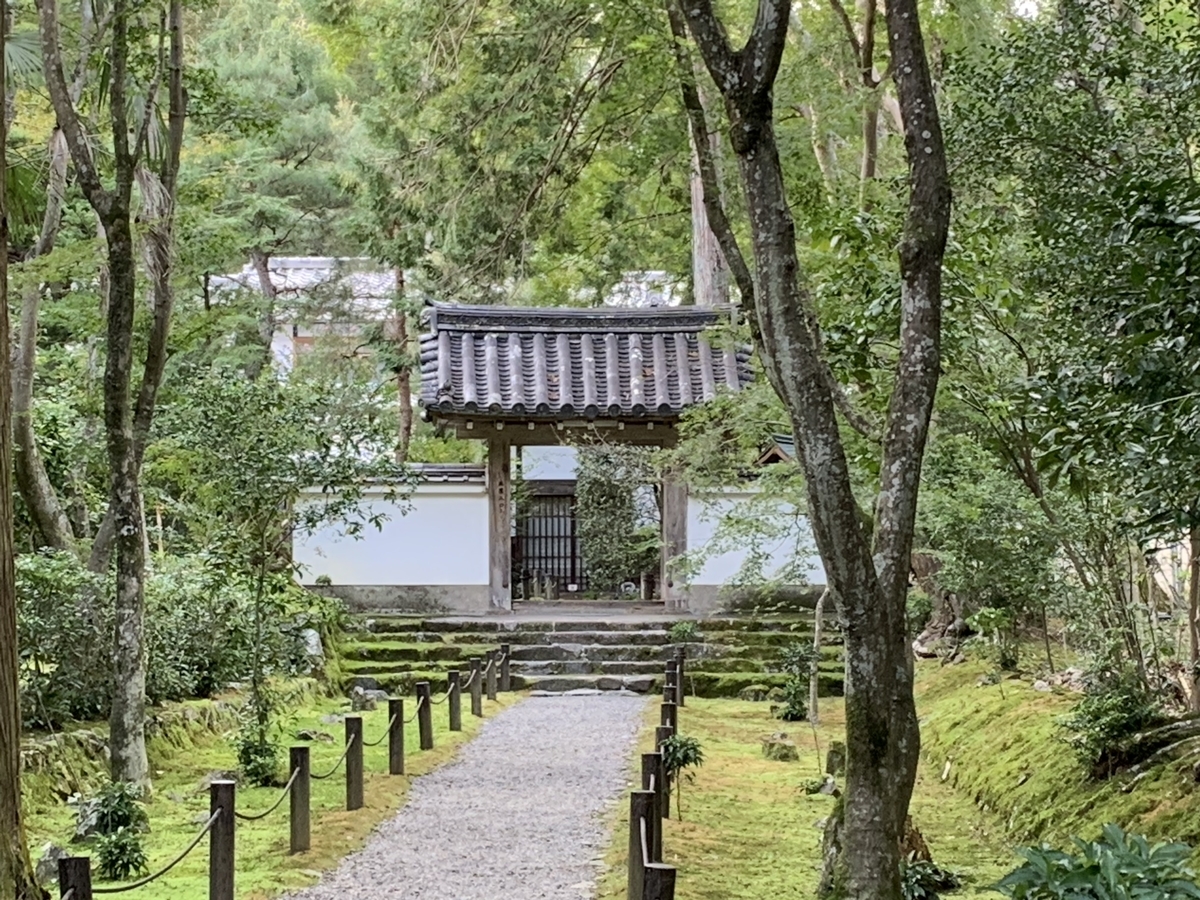 f:id:suzukasjp:20191020132822j:plain f:id:suzukasjp:20191020132822j:plain