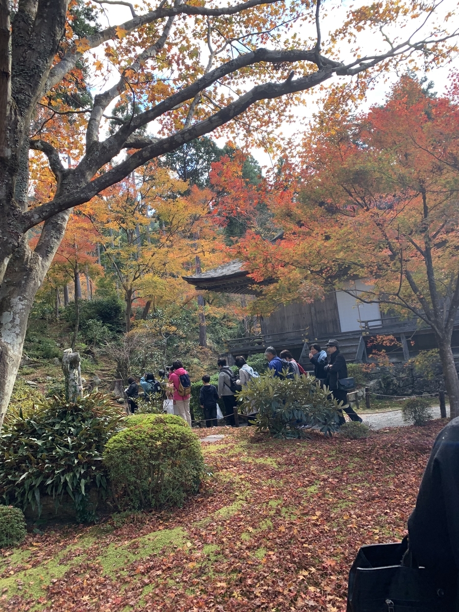 f:id:suzukasjp:20191031011856j:plain