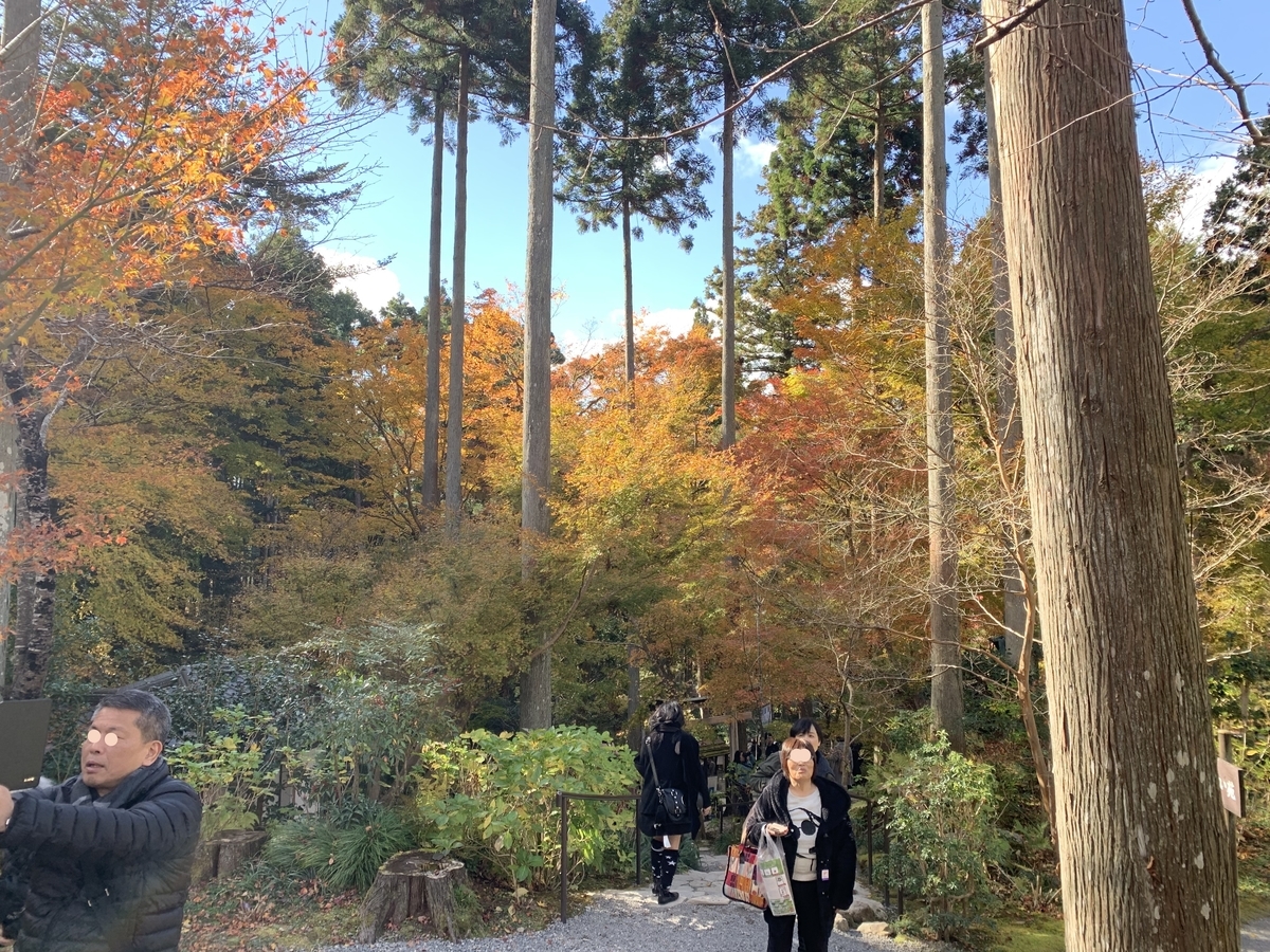 f:id:suzukasjp:20191031012328j:plain