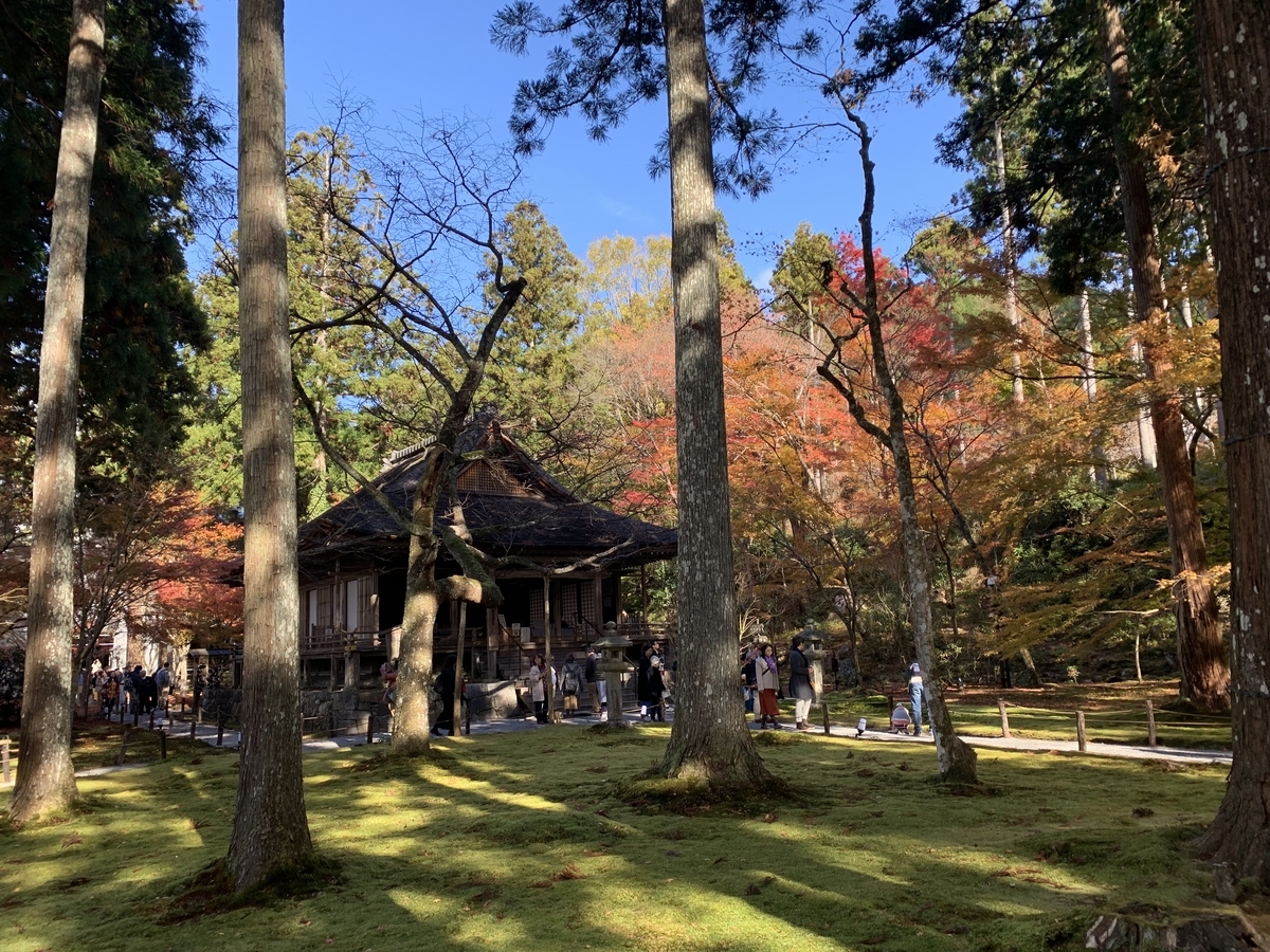 f:id:suzukasjp:20191101001343j:plain