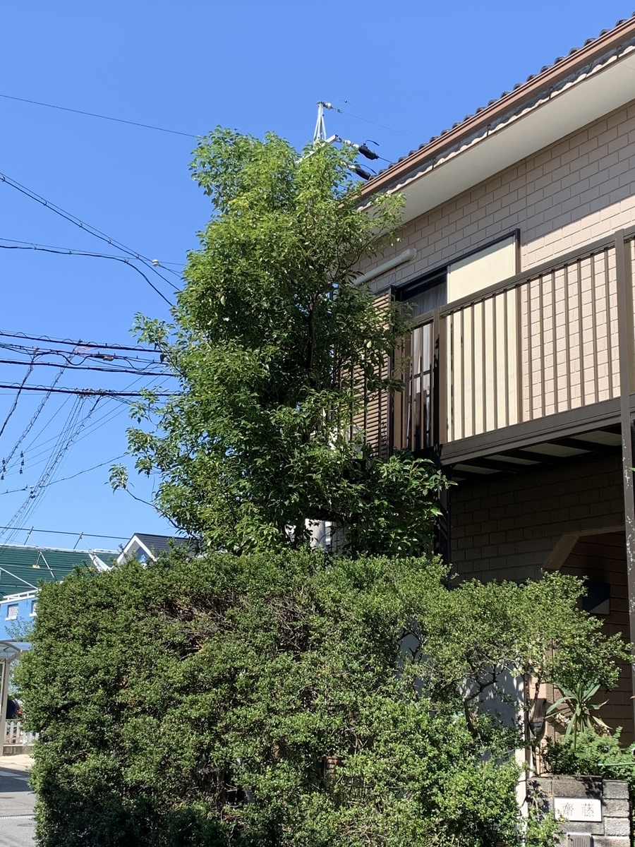 f:id:suzukasjp:20191102023301j:plain f:id:suzukasjp:20191102023301j:plain