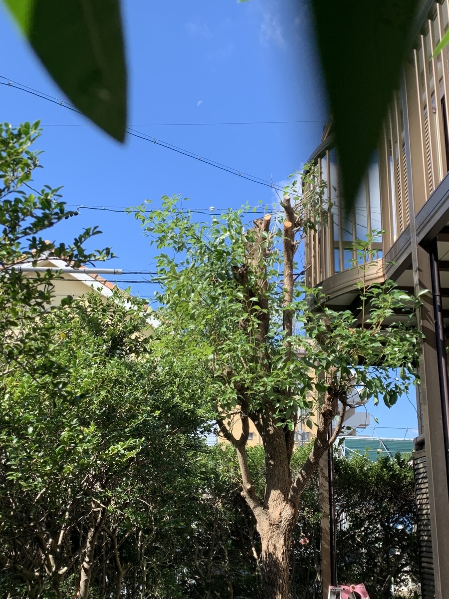 f:id:suzukasjp:20191102023618j:plain f:id:suzukasjp:20191102023618j:plain