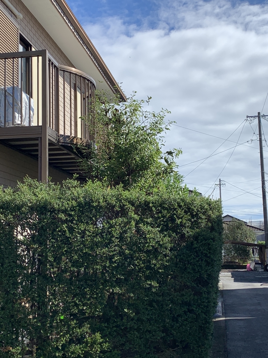 f:id:suzukasjp:20191102023708j:plain f:id:suzukasjp:20191102023708j:plain