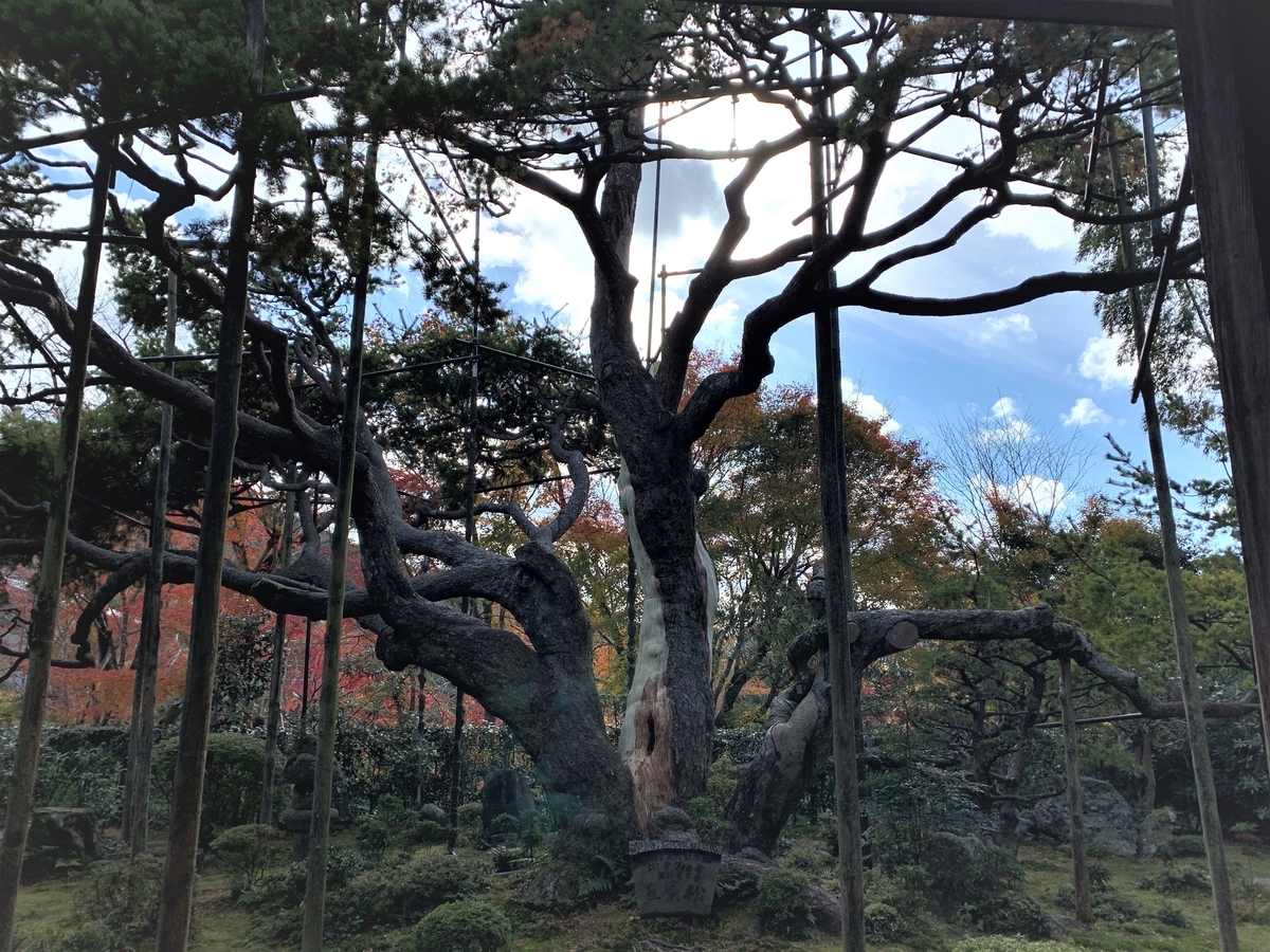 f:id:suzukasjp:20191104041132j:plain