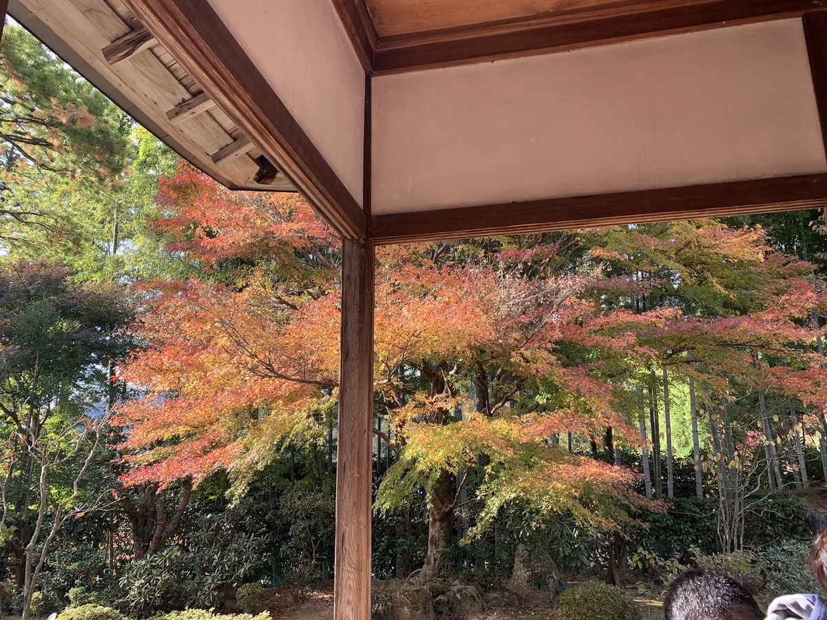 f:id:suzukasjp:20191104041226j:plain