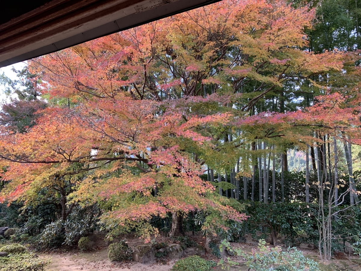 f:id:suzukasjp:20191104041316j:plain