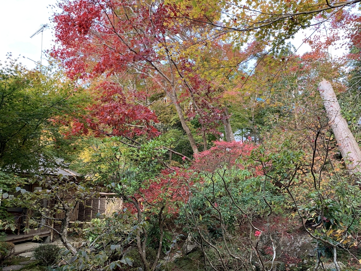 f:id:suzukasjp:20191104041435j:plain