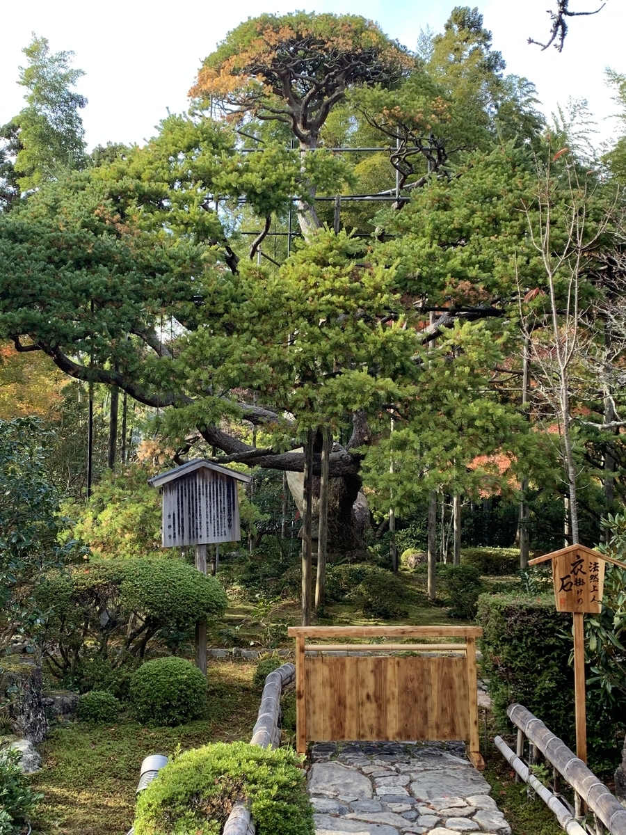 f:id:suzukasjp:20191104041517j:plain