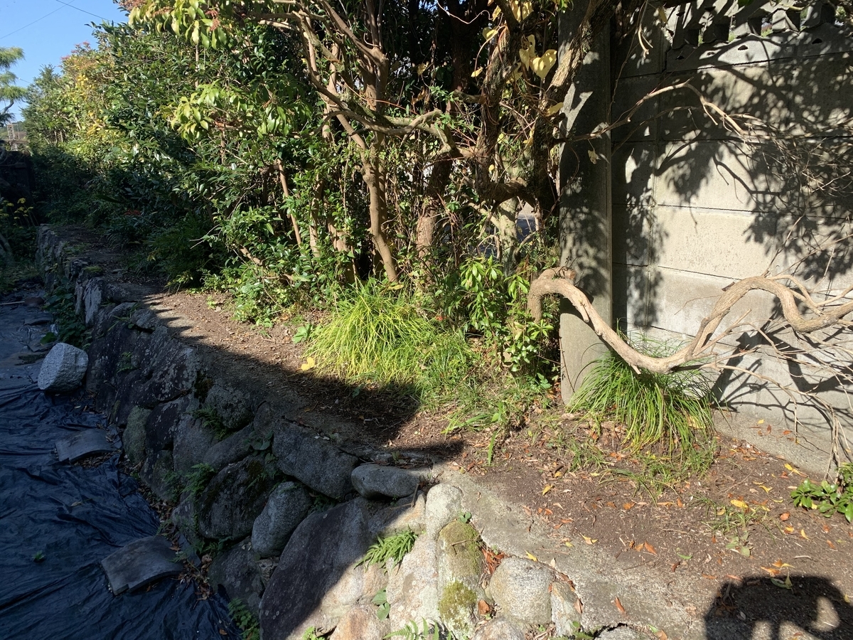 f:id:suzukasjp:20191118002425j:plain