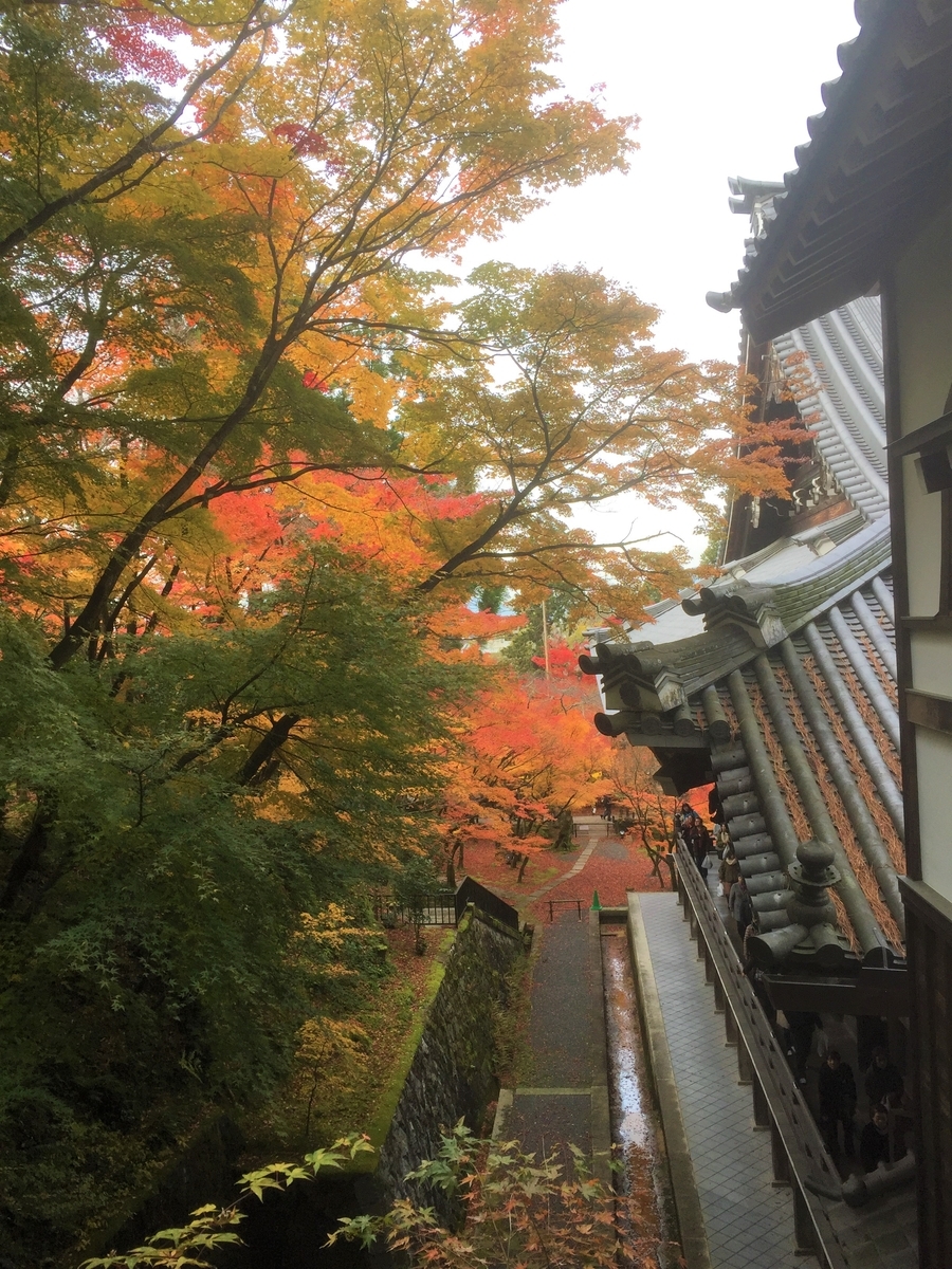 f:id:suzukasjp:20191205010732j:plain