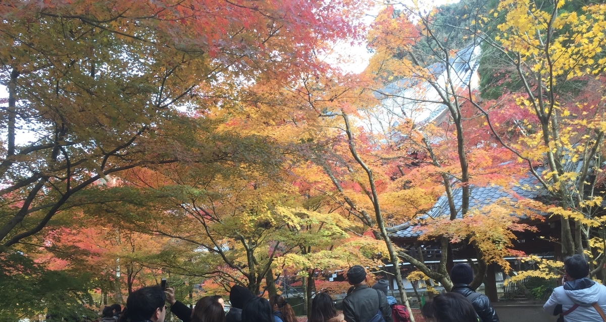 f:id:suzukasjp:20191205010840j:plain