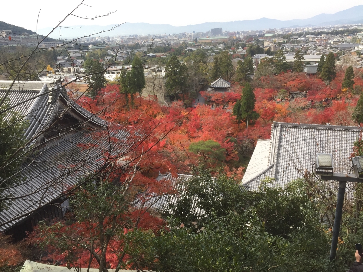 f:id:suzukasjp:20191205010917j:plain