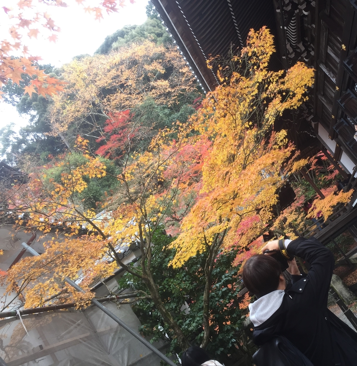 f:id:suzukasjp:20191205011022j:plain