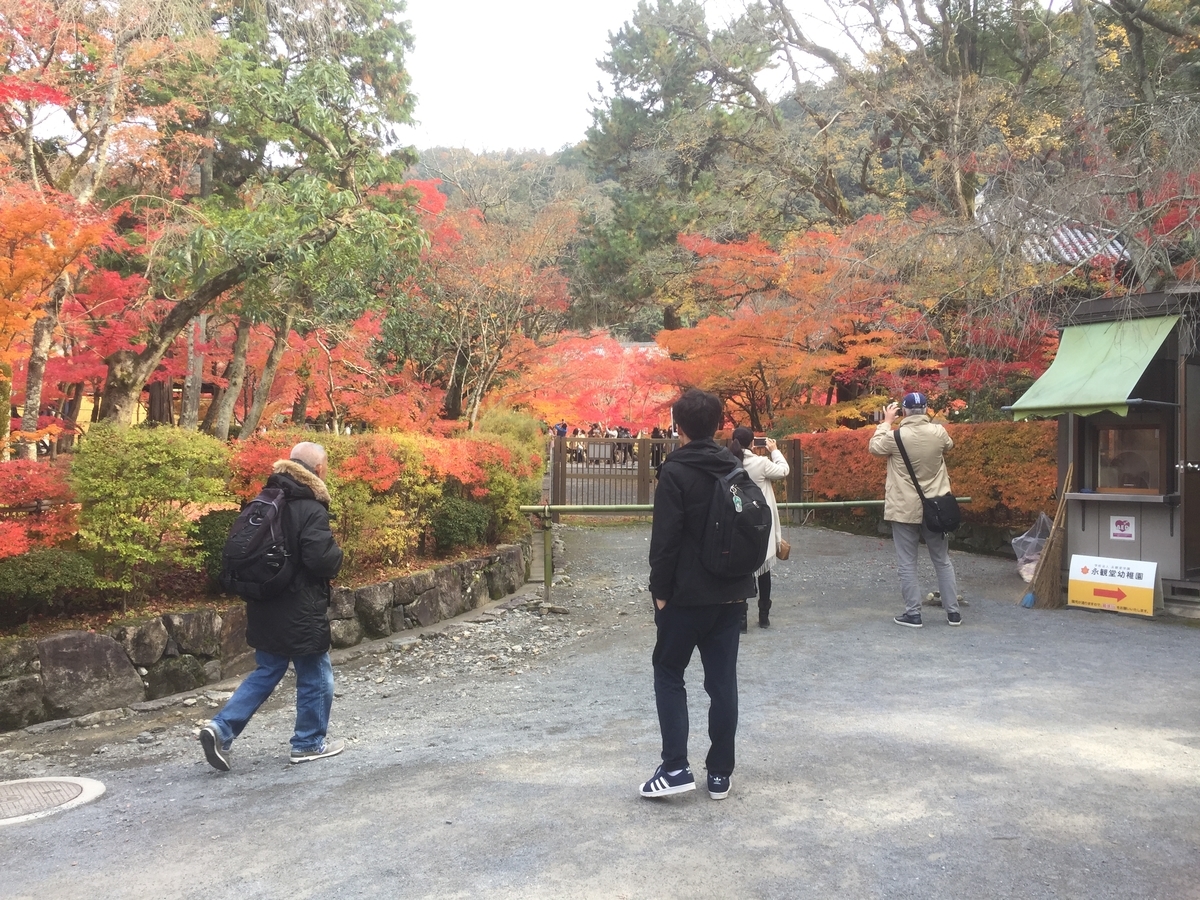 f:id:suzukasjp:20191205011423j:plain
