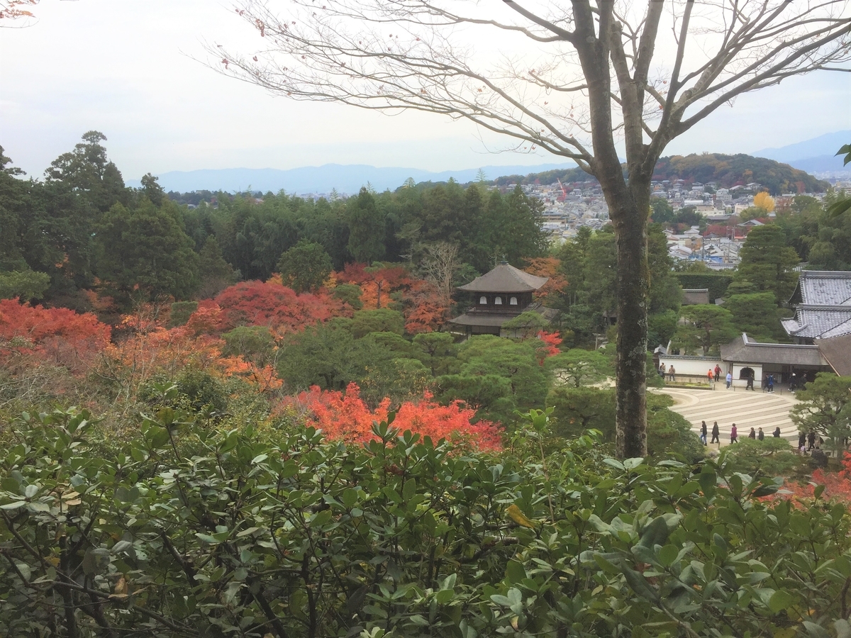 f:id:suzukasjp:20191207004038j:plain