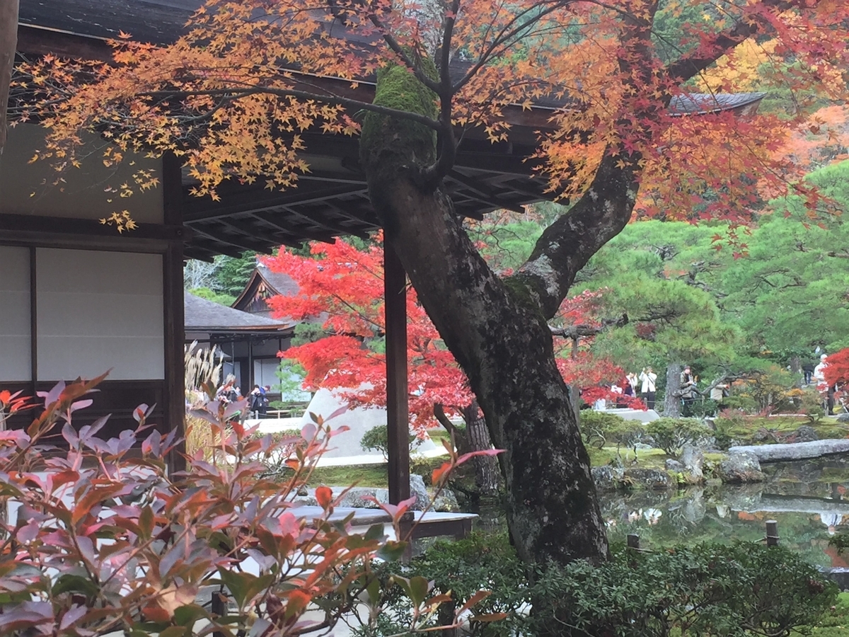 f:id:suzukasjp:20191207004138j:plain