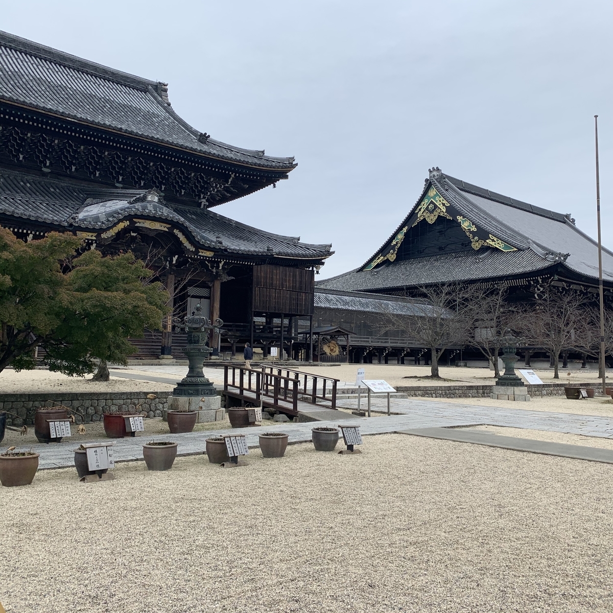 f:id:suzukasjp:20191214234138j:plain