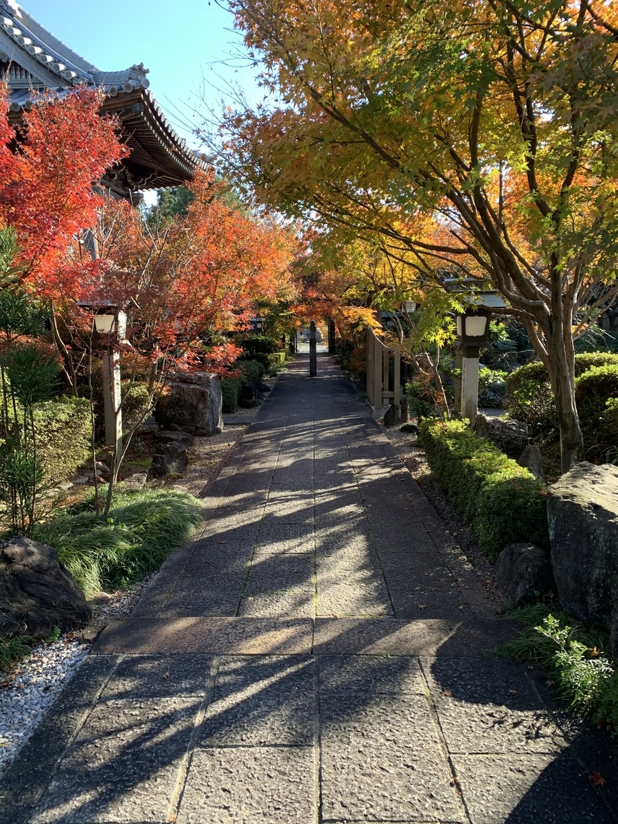 f:id:suzukasjp:20191225023406j:plain