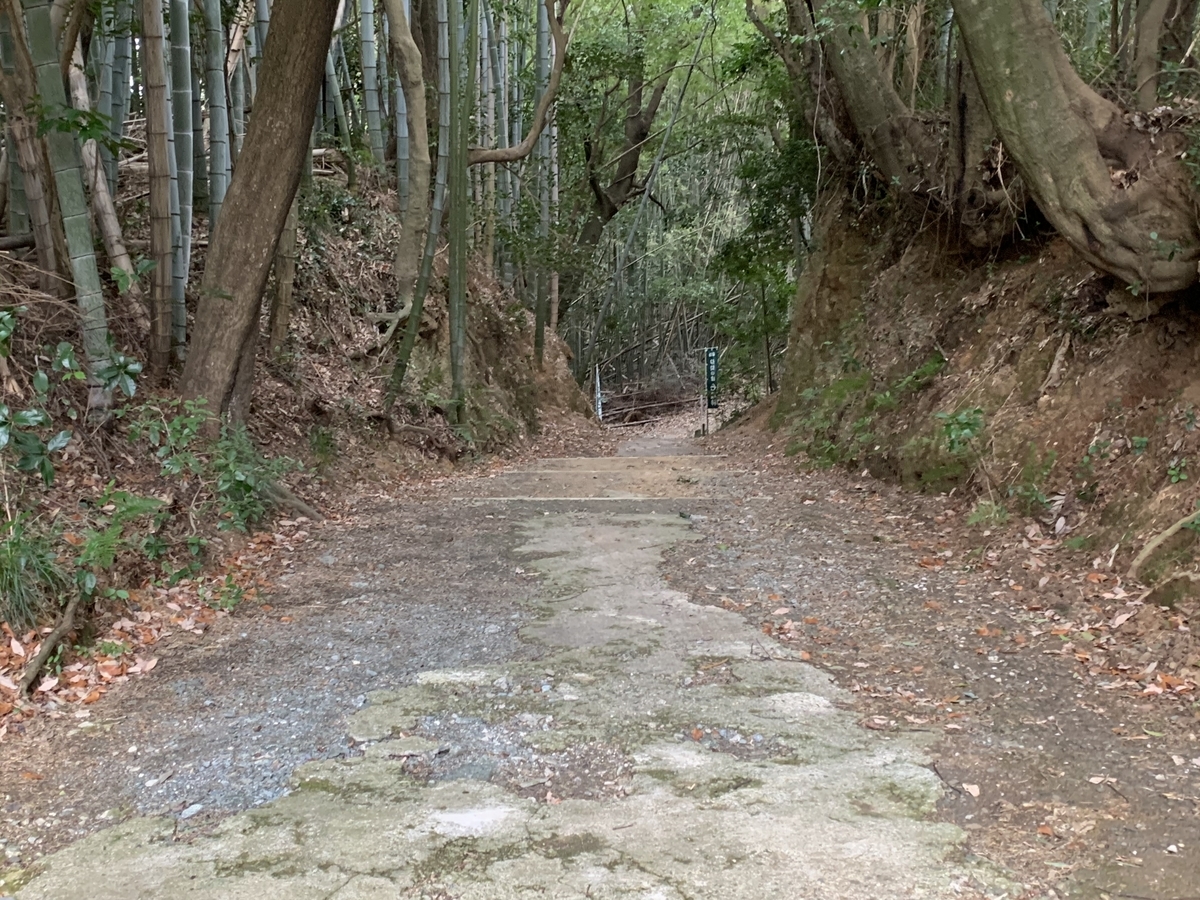 f:id:suzukasjp:20200129001208j:plain